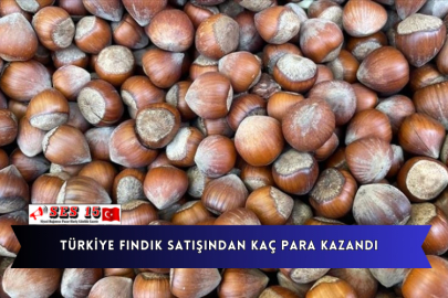 Türkiye Fındık Satışından Kaç Para Kazandı