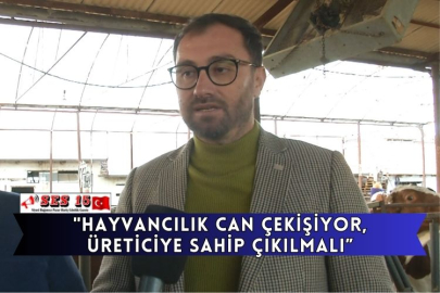 "Hayvancılık Can Çekişiyor, Üreticiye Sahip Çıkılmalı”