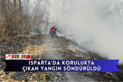 Isparta'da Korulukta Çıkan Yangın Söndürüldü