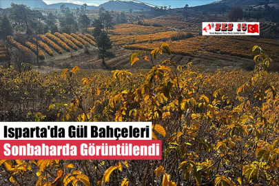 Isparta'da Gül Bahçeleri Sonbaharda Görüntülendi