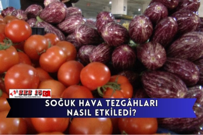 Soğuk Hava Tezgâhları Nasıl Etkiledi?