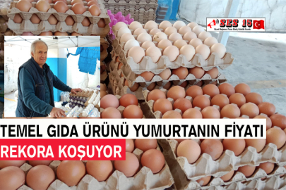 Temel Gıda Ürünü Yumurtanın Fiyatı Rekora Koşuyor