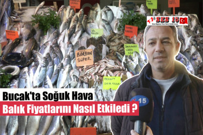 Bucak'ta Soğuk Hava Balık Fiyatlarını Nasıl Etkiledi ?