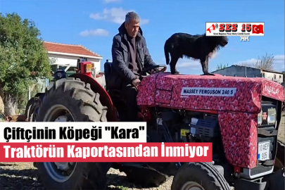 Çiftçinin Köpeği "Kara" Traktörün Kaportasından İnmiyor