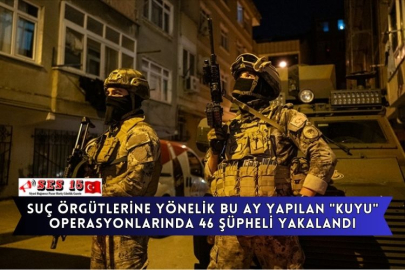 Suç Örgütlerine Yönelik Bu Ay Yapılan "Kuyu" Operasyonlarında 46 Şüpheli Yakalandı