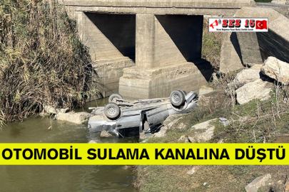 Otomobil Sulama Kanalına Düştü