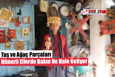 Taş ve Ağaç Parçaları Hünerli Ellerde Bakın Ne Hale Geliyor