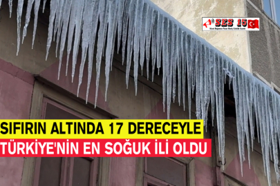 Sıfırın Altında 17 Dereceyle Türkiye'nin En Soğuk İli Oldu