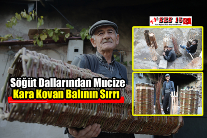 Söğüt Dallarından Mucize Kara Kovan Balının Sırrı