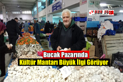 Bucak Pazarında Kültür Mantarı Büyük İlgi Görüyor
