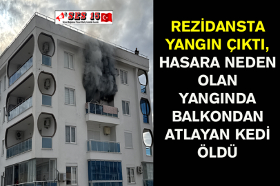 Rezidansta Yangın Çıktı, Hasara Neden Olan Yangında Balkondan Atlayan Kedi Öldü