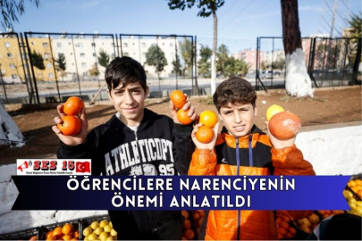 Öğrencilere Narenciyenin Önemi Anlatıldı