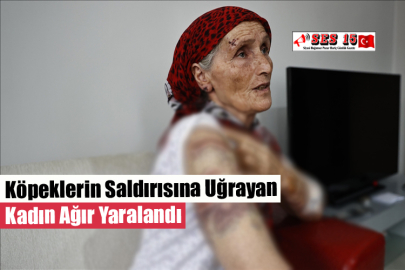 Köpeklerin Saldırısına Uğrayan Kadın Ağır Yaralandı