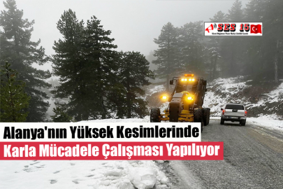 Alanya'nın Yüksek Kesimlerinde Karla Mücadele Çalışması Yapılıyor