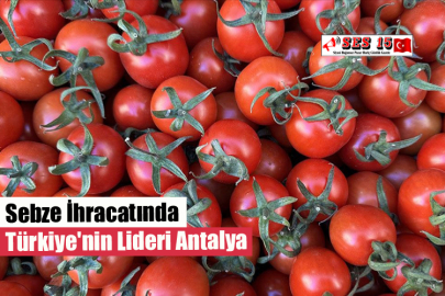 Sebze İhracatında Türkiye'nin Lideri Antalya