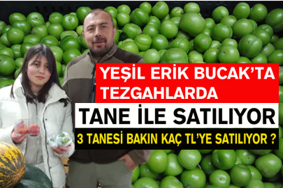 Yeşil Erik Bucak’ta Tezgahlarda: Tane Olarak Satılıyor