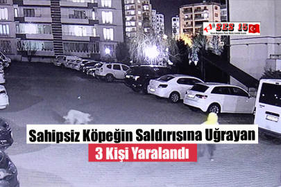 Sahipsiz Köpeğin Saldırısına Uğrayan 3 Kişi Yaralandı