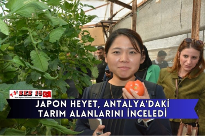 Japon Heyet, Antalya'daki Tarım Alanlarını İnceledi
