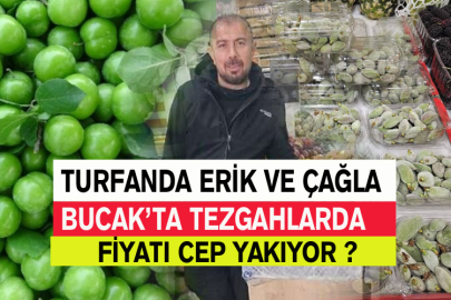 Bucak’ta Turfanda Erik Ve Çağla Fiyatı İle Cep Yakıyor ?