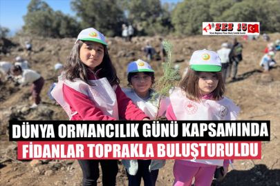 Dünya Ormancılık Günü Kapsamında Fidanlar Toprakla Buluşturuldu
