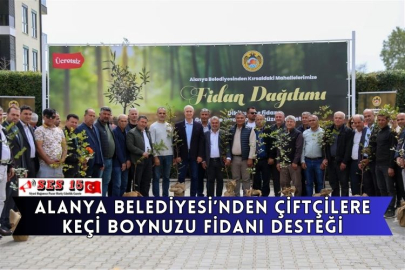 Alanya Belediyesi’nden Çiftçilere Keçi Boynuzu Fidanı Desteği