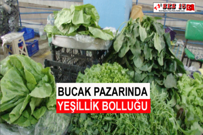 Bucak Pazarında Yeşillik Bolluğu
