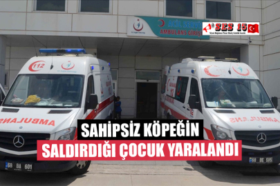 Sahipsiz Köpeğin Saldırdığı Çocuk Yaralandı