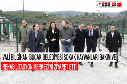 Vali Bilgihan, Bucak Belediyesi Sokak Hayvanları Bakım Ve Rehabilitasyon Merkezi’ni Ziyaret Etti