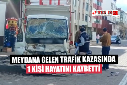 Park Halindeki Araca Çarpan Kamyonetin Sürücüsü Hayatını Kaybetti 