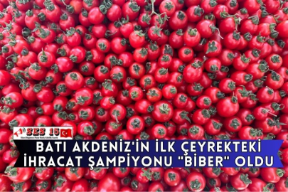 Batı Akdeniz'in İlk Çeyrekteki İhracat Şampiyonu "Biber" Oldu