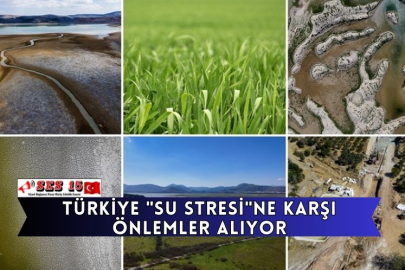 Türkiye "Su Stresi"ne Karşı Önlemler Alıyor