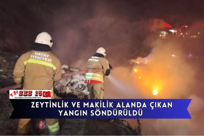  Zeytinlik Ve Makilik Alanda Çıkan Yangın Söndürüldü