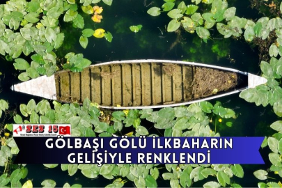 Gölbaşı Gölü İlkbaharın Gelişiyle Renklendi