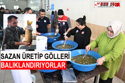 Sazan Üretip Gölleri Balıklandırıyorlar