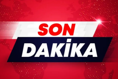 Kaldırıma Çarpan Otomobilin Sürücüsü Yaralandı