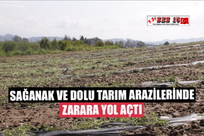 Sağanak ve Dolu Tarım Arazilerinde Zarara Yol Açtı