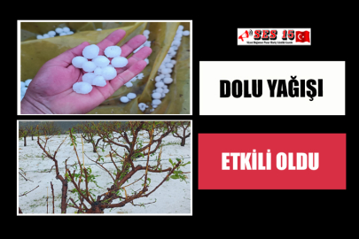 Dolu Yağışı Etkili Oldu