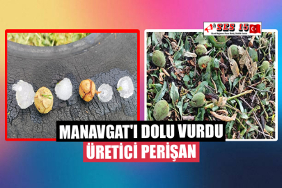 Manavgat'ı Dolu Vurdu Üretici Perişan