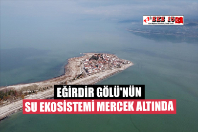 Eğirdir Gölü'nün Su Ekosistemi Mercek Altında