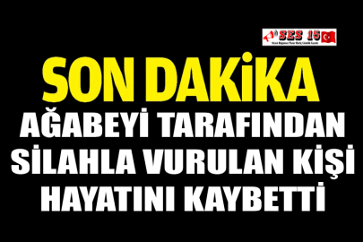 Ağabeyi Tarafından Silahla Vurulan Kişi Hayatını Kaybetti