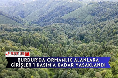Burdur'da Ormanlık Alanlara Girişler 1 Kasım'a Kadar Yasaklandı