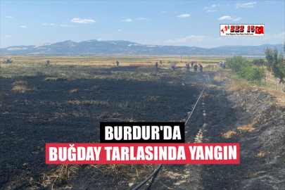 Burdur'da Buğday Tarlasında Yangın
