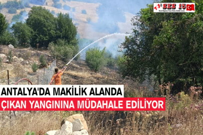 Antalya'da Makilik Alanda Çıkan Yangınına Müdahale Ediliyor