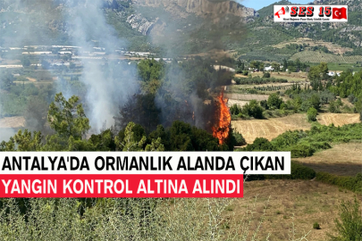 Antalya'da Ormanlık Alanda Çıkan Yangın Kontrol Altına Alındı