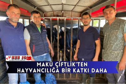 MAKÜ Çiftlik’ten Hayvancılığa Bir Katkı Daha