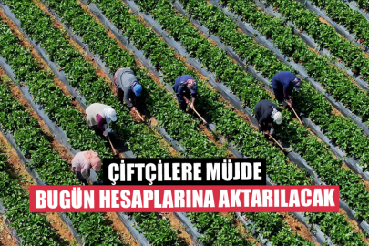 Çiftçilere Müjde Bugün Hesaplarına Aktarılacak