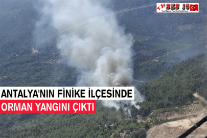 Antalya'nın Finike İlçesinde Orman Yangını Çıktı