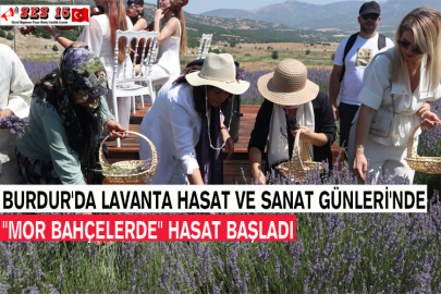 Burdur'da Lavanta Hasat Ve Sanat Günleri'nde "Mor Bahçelerde" Hasat Başladı
