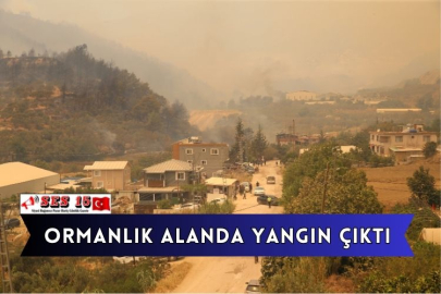 Ormanlık Alanda Yangın Çıktı