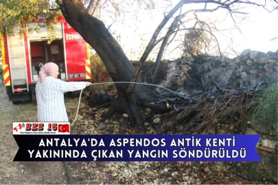 Antalya'da Aspendos Antik Kenti Yakınında Çıkan Yangın Söndürüldü